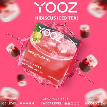 HIBISCUS ICED TEA
