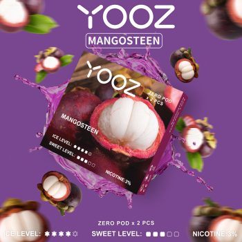 MANGOSTEEN 氛围图