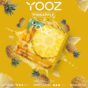 Pineapple 1
