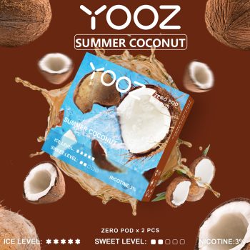 SUMMER COCONOT 渲染图