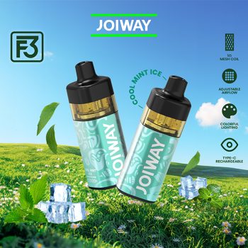 cool mint ice