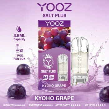 Kyoho Grape场景图