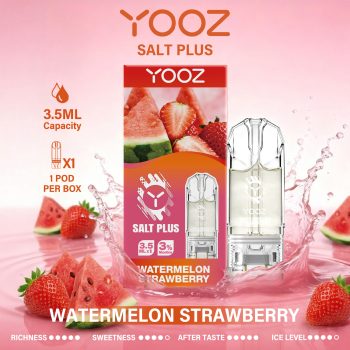 Watermelon Strawberry场景图